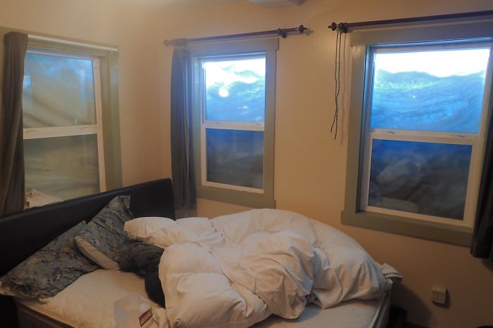 When Sunlight Hits The Snow On My Windows It Looks Like I Live On The Ocean Floor