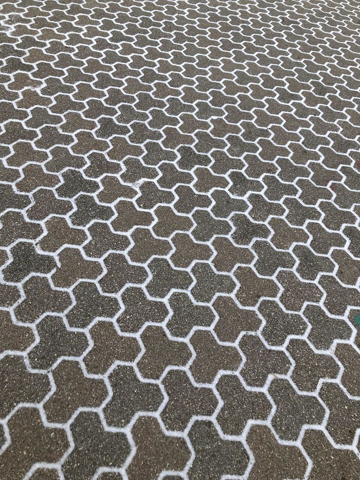 How The Snow Has Settled In Between These Bricks