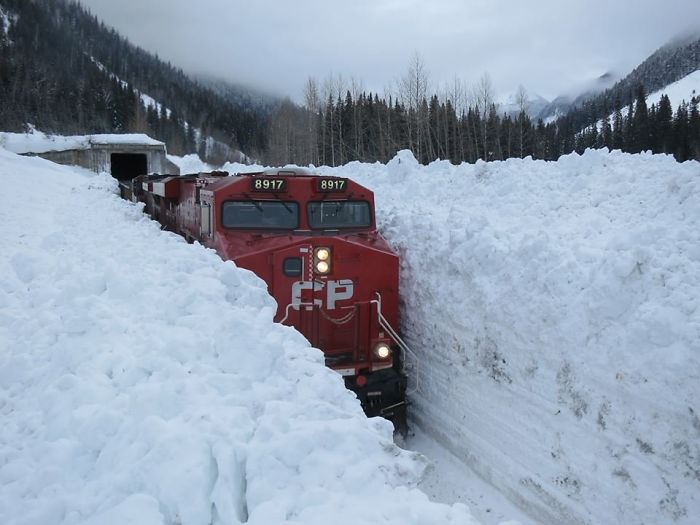Train Navigating Through The Canadian Snow