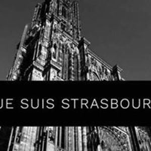 linsey_dargan avatar