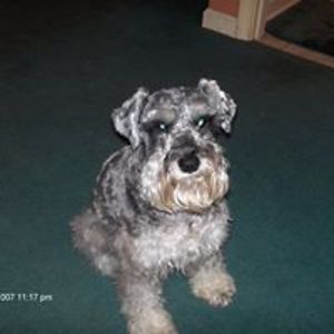 smallwoodrealty avatar