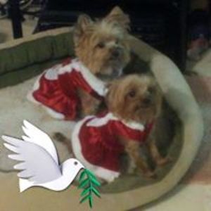 cherishnprecious avatar