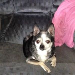 p_e_scarborough avatar