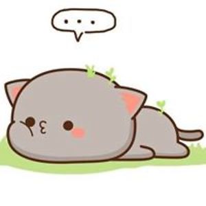 quangminh14052002 avatar