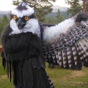 steinar_eliassen avatar