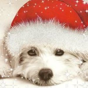 imyourvalentine avatar