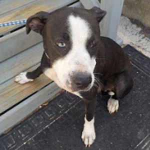 courtneyyoung avatar