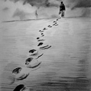 spanishfuzion avatar