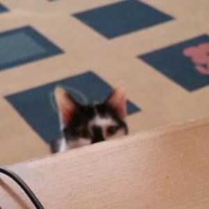 richard_murray2 avatar