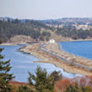 annabookelaar avatar