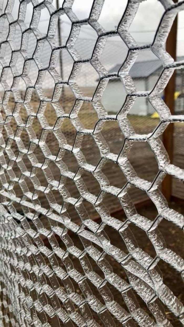 The Way The Ice Froze To This Fence
