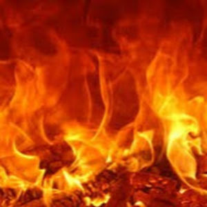 elizabethgoodwin avatar