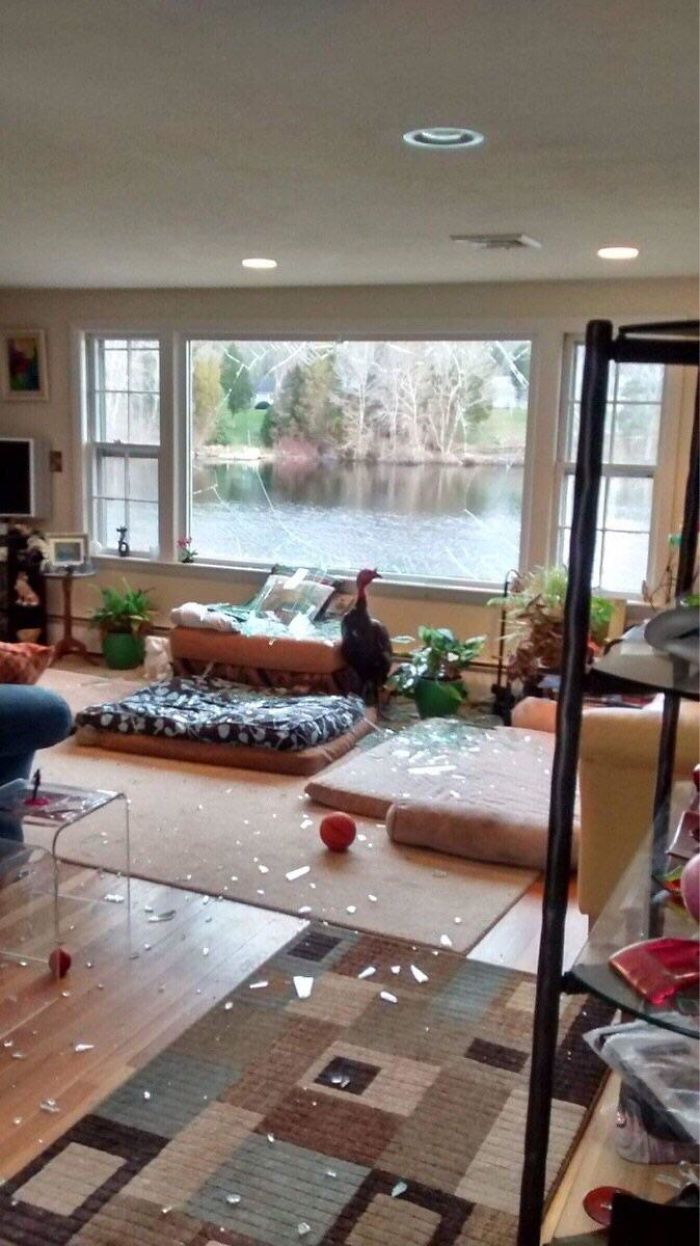 Windows Has Encountered A Problem With Turkey.exe