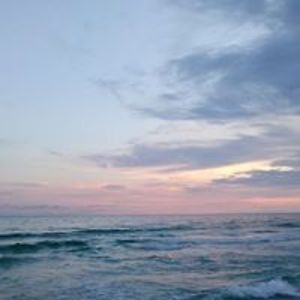 leascheafnocker avatar