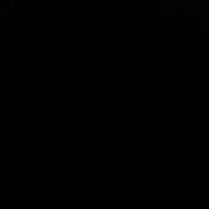 jacquelinevanwye avatar