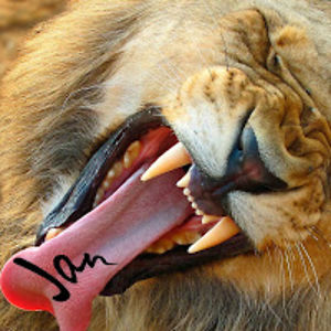 janleendertse avatar