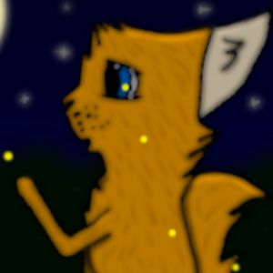 spiritanimations avatar