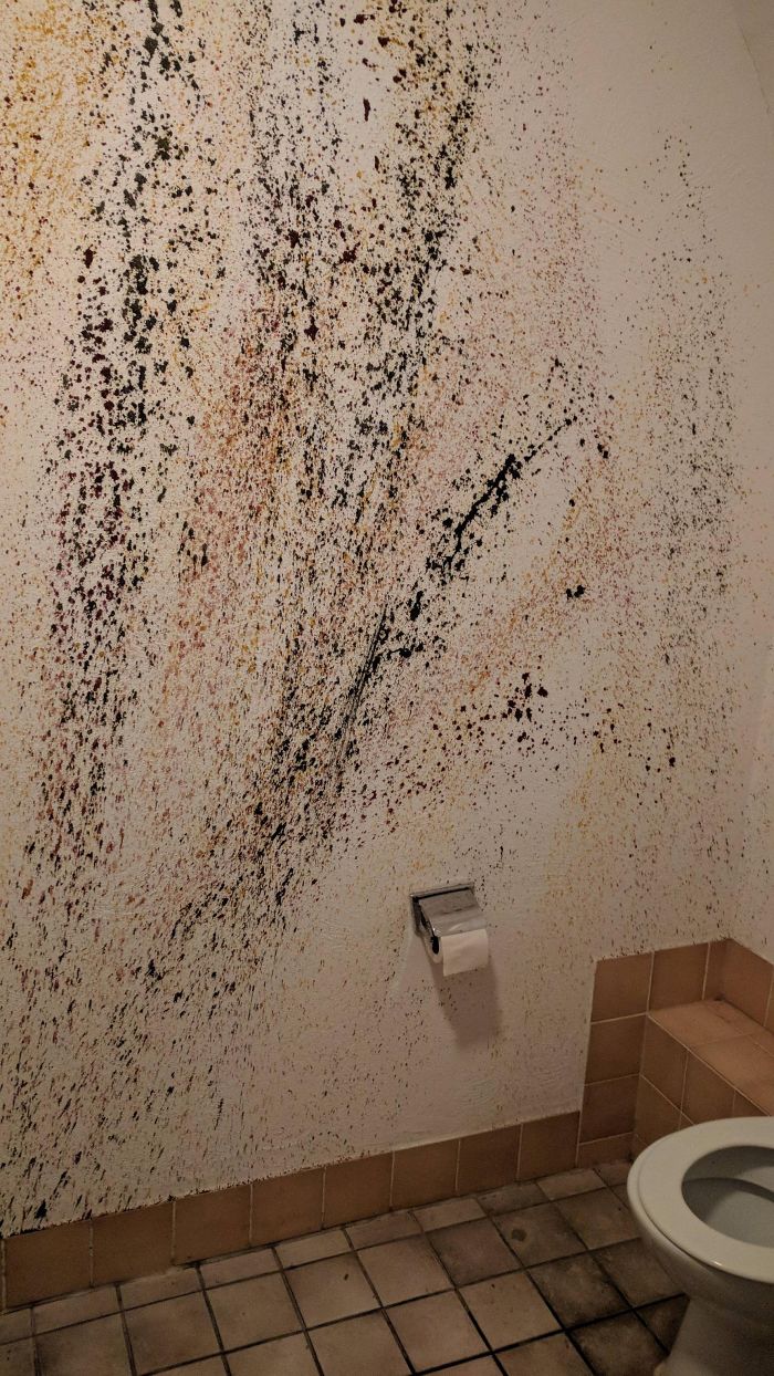 The Wall Art In This Bathroom Is... Suboptimal