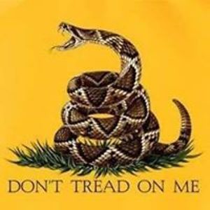 jake_08_hayes avatar