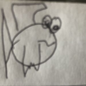 staceyknaak12 avatar