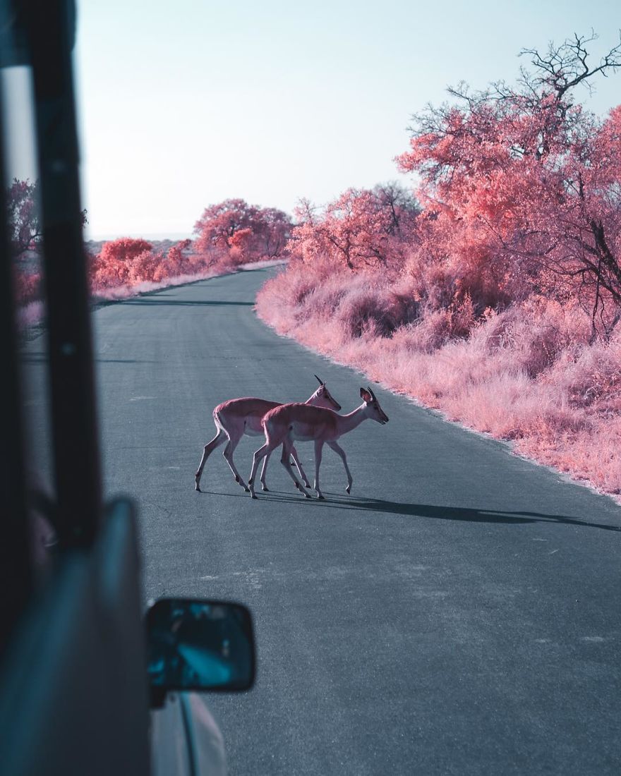 Italian Photographer Captures The World In Infrared And It Is The Best Thing You Would Ever See