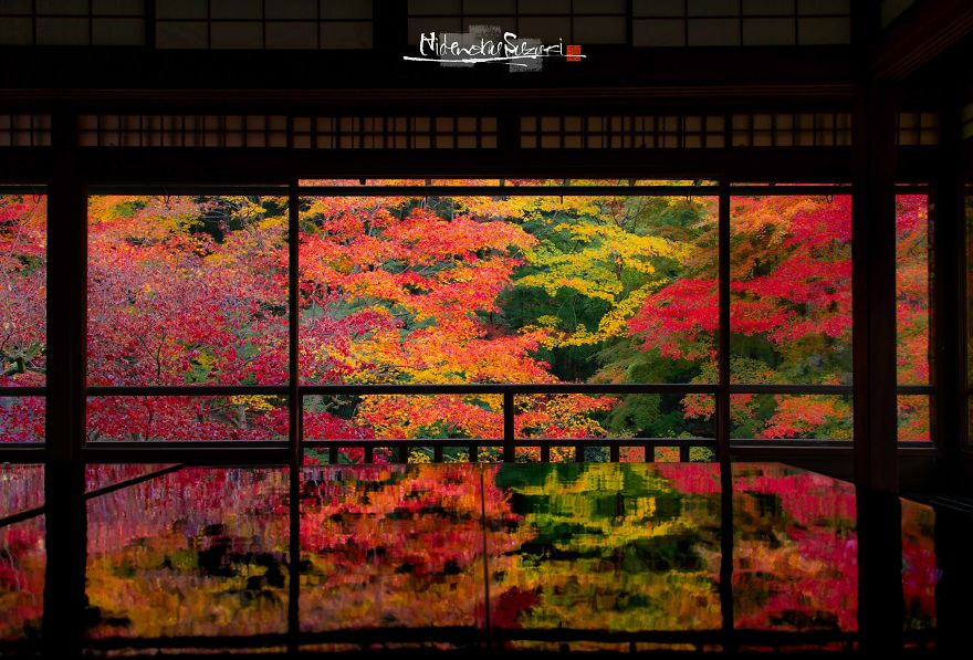 I Captured The Beautiful Fall In Kyoto