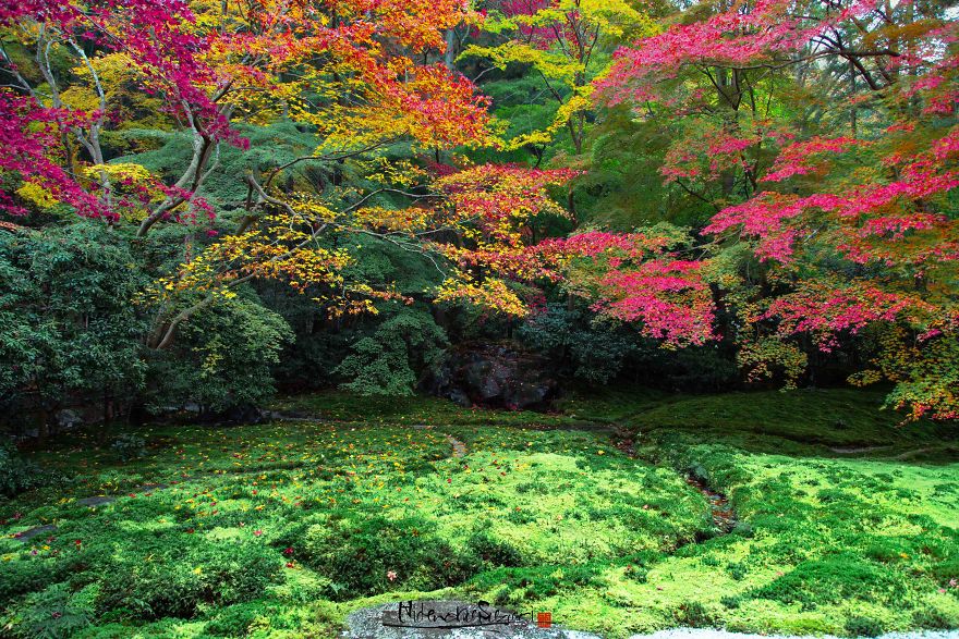 I Captured The Beautiful Fall In Kyoto