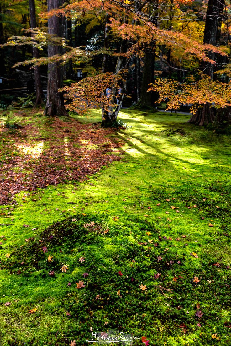 I Captured The Beautiful Fall In Kyoto
