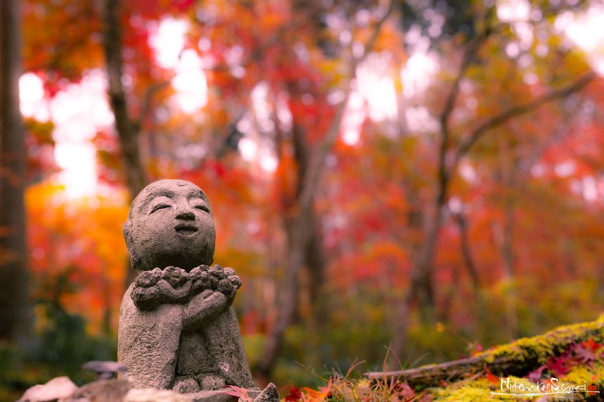 I Captured The Beautiful Fall In Kyoto