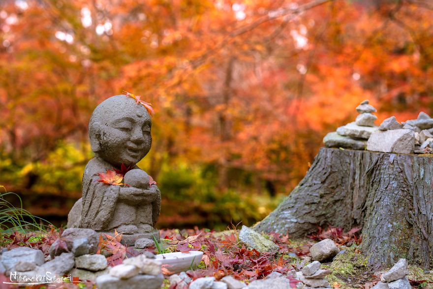 I Captured The Beautiful Fall In Kyoto