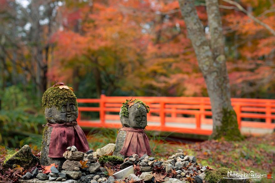 I Captured The Beautiful Fall In Kyoto