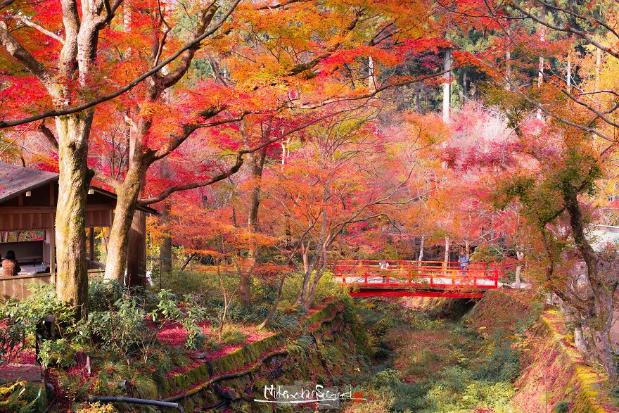 I Captured The Beautiful Fall In Kyoto