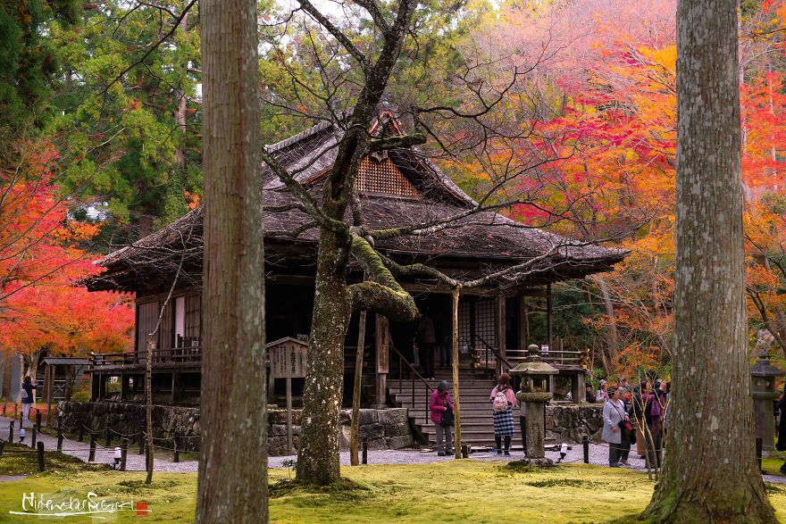I Captured The Beautiful Fall In Kyoto