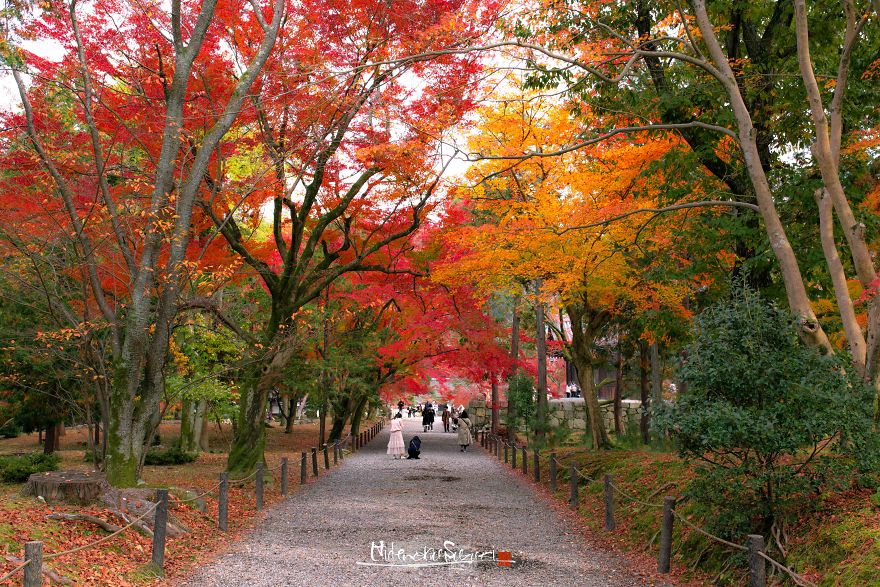 I Captured The Beautiful Fall In Kyoto