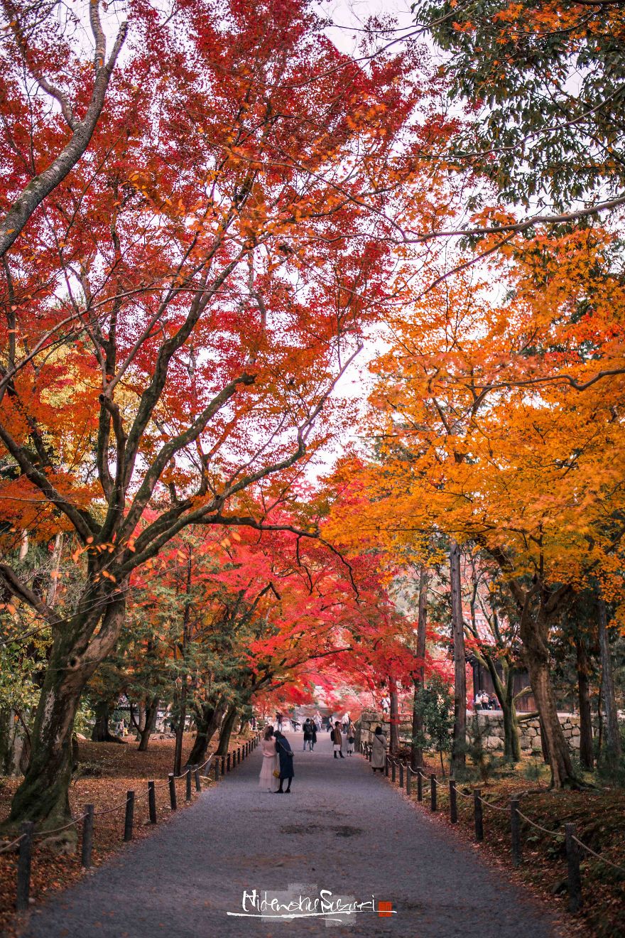 I Captured The Beautiful Fall In Kyoto