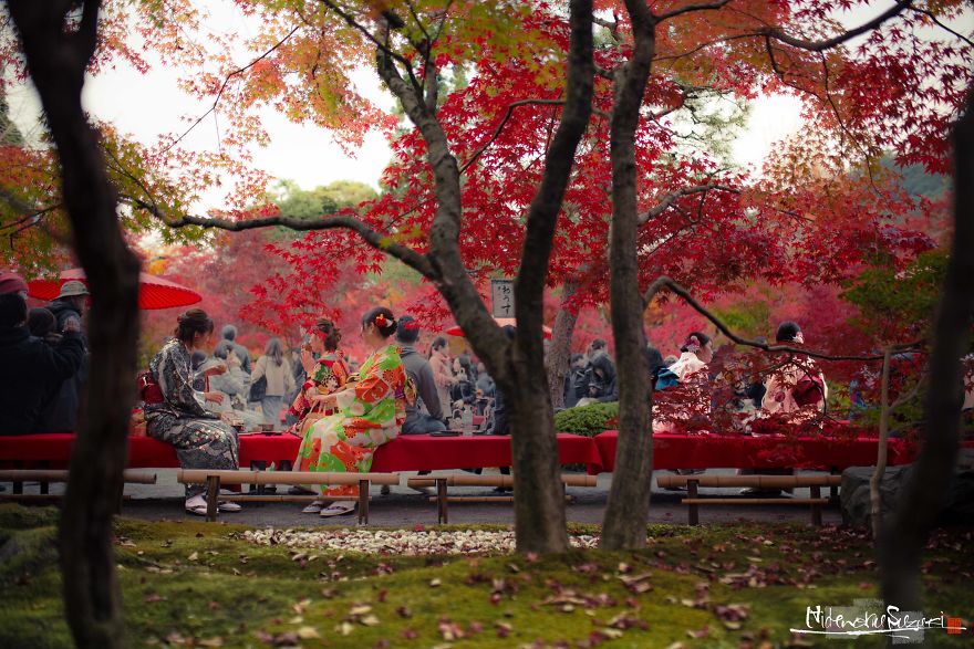 I Captured The Beautiful Fall In Kyoto