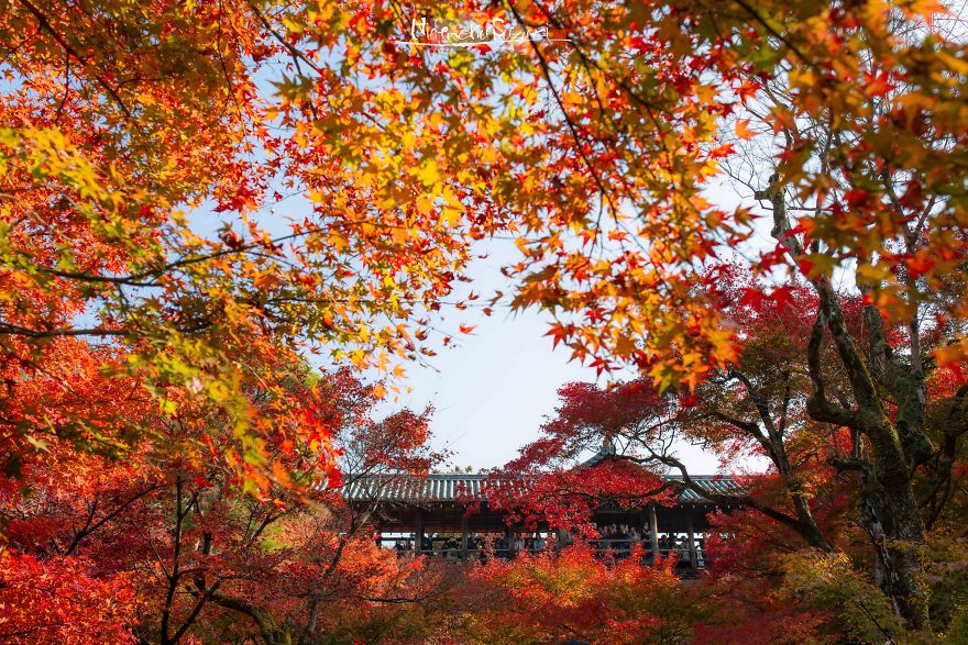 I Captured The Beautiful Fall In Kyoto
