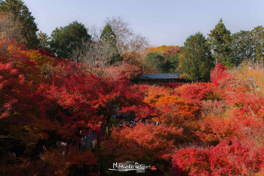 I Captured The Beautiful Fall In Kyoto