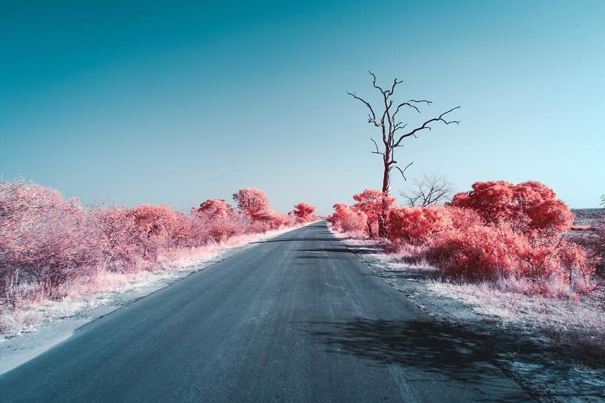 Italian Photographer Captures The World In Infrared And It Is The Best Thing You Would Ever See