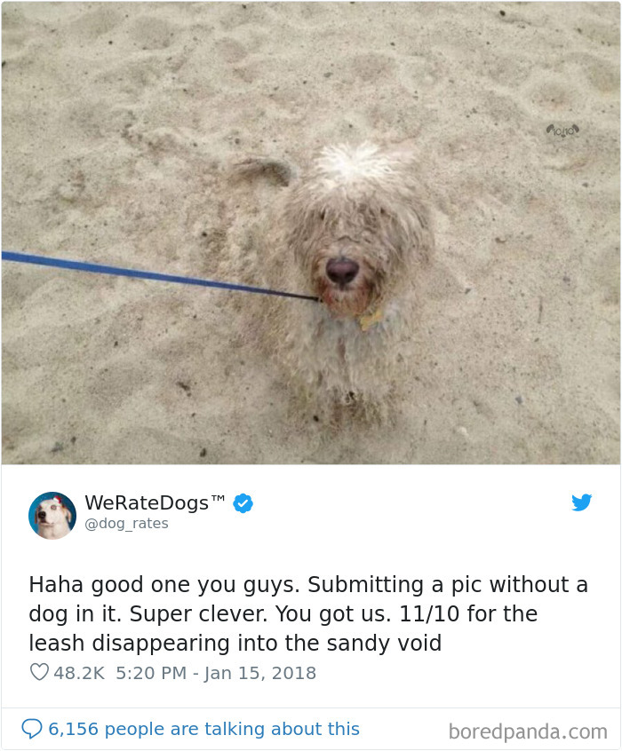 We Rate Dogs