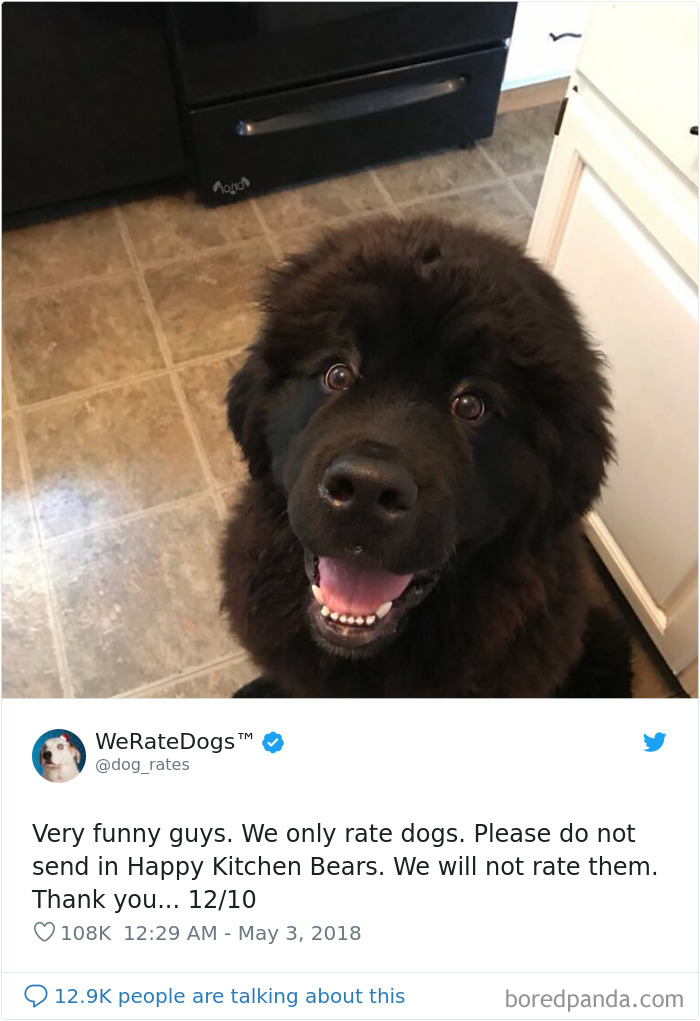 We Rate Dogs