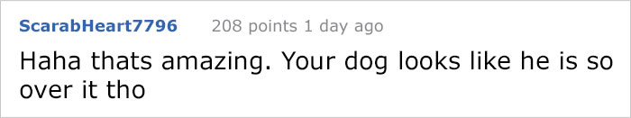 This Family Started Doing 'Real Life' Christmas Cards 5 Years Ago And They Get Crazier As The Kids Grow Up This Family Started Doing 'Real Life' Christmas Cards 5 Years Ago And They Get Crazier As The Kids Grow Up