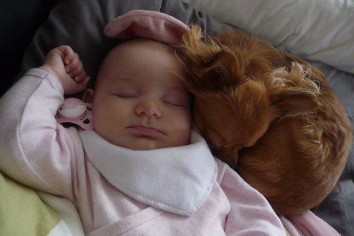 My Precious Dog Passed Away Close To Her 11th Birthday, This Is The Story Of A Lifetime With Her My Precious Dog Passed Away Close To Her 11th Birthday, This Is The Story Of A Lifetime With Her