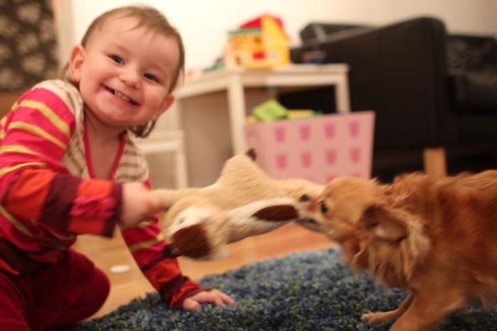 My Precious Dog Passed Away Close To Her 11th Birthday, This Is The Story Of A Lifetime With Her My Precious Dog Passed Away Close To Her 11th Birthday, This Is The Story Of A Lifetime With Her