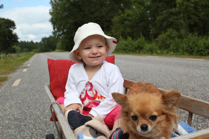 My Precious Dog Passed Away Close To Her 11th Birthday, This Is The Story Of A Lifetime With Her My Precious Dog Passed Away Close To Her 11th Birthday, This Is The Story Of A Lifetime With Her