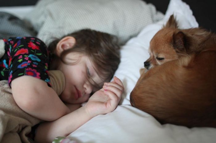 My Precious Dog Passed Away Close To Her 11th Birthday, This Is The Story Of A Lifetime With Her My Precious Dog Passed Away Close To Her 11th Birthday, This Is The Story Of A Lifetime With Her