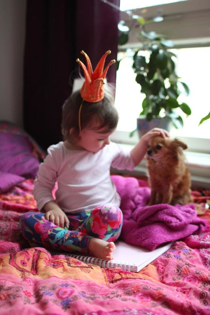 My Precious Dog Passed Away Close To Her 11th Birthday, This Is The Story Of A Lifetime With Her My Precious Dog Passed Away Close To Her 11th Birthday, This Is The Story Of A Lifetime With Her