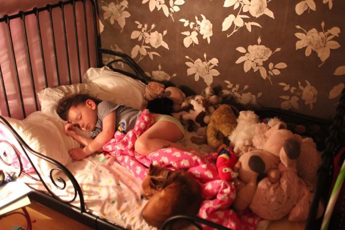 My Precious Dog Passed Away Close To Her 11th Birthday, This Is The Story Of A Lifetime With Her My Precious Dog Passed Away Close To Her 11th Birthday, This Is The Story Of A Lifetime With Her