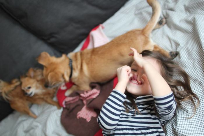 My Precious Dog Passed Away Close To Her 11th Birthday, This Is The Story Of A Lifetime With Her My Precious Dog Passed Away Close To Her 11th Birthday, This Is The Story Of A Lifetime With Her