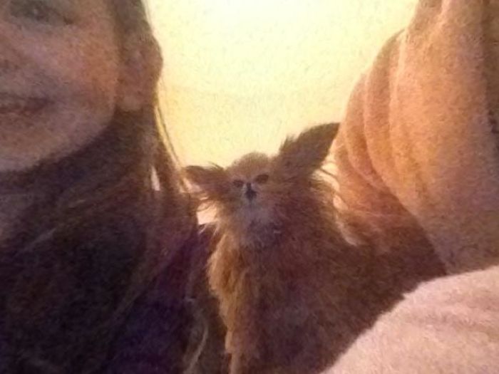 My Precious Dog Passed Away Close To Her 11th Birthday, This Is The Story Of A Lifetime With Her My Precious Dog Passed Away Close To Her 11th Birthday, This Is The Story Of A Lifetime With Her